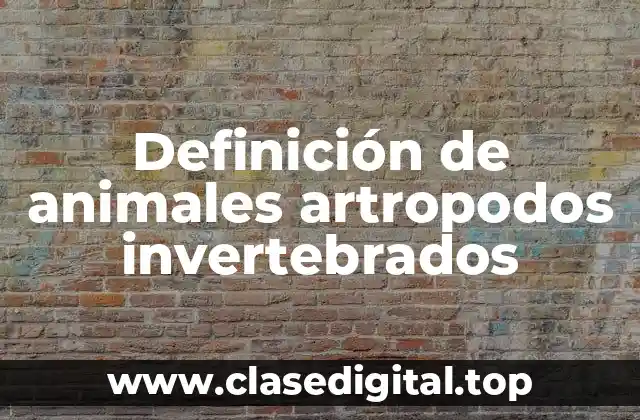 Definición de animales artropodos invertebrados