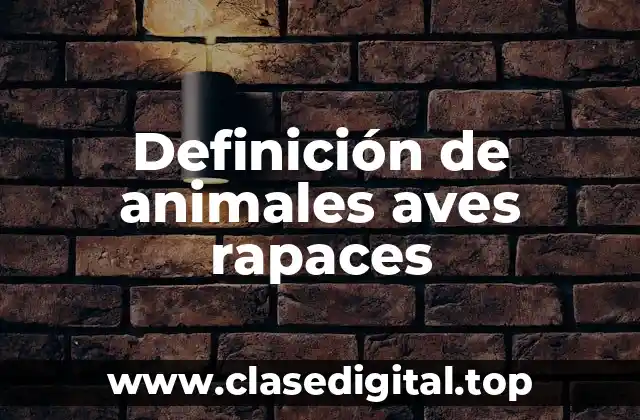 Definición de animales aves rapaces