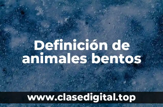 Ejemplos de animales bentos