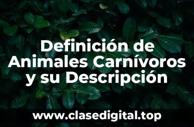 Definición de Animales Carnívoros y su Descripción