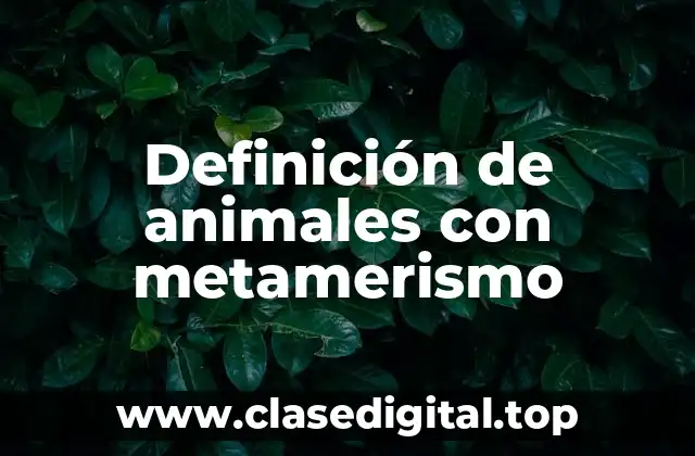 Definición de animales con metamerismo