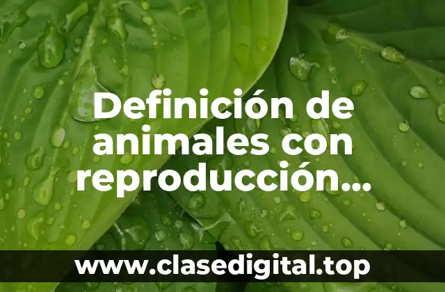 Definición de animales con reproducción anisogamia