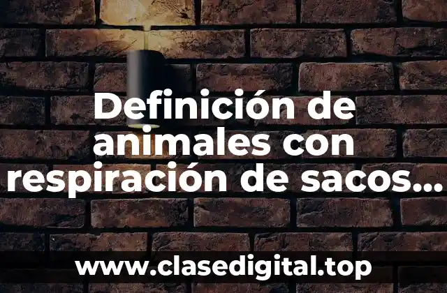 Definición de animales con respiración de sacos aéreos