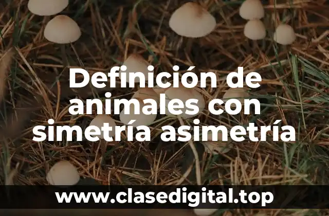 Definición de animales con simetría asimetría