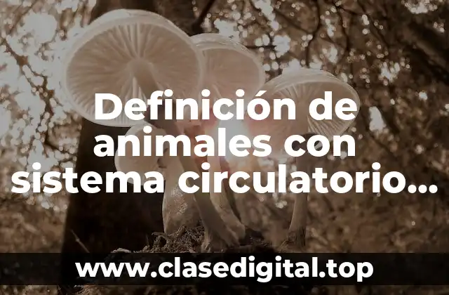 Definición de animales con sistema circulatorio abierto