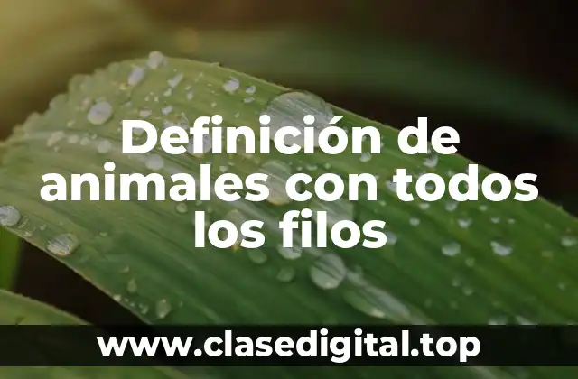 Definición de animales con todos los filos