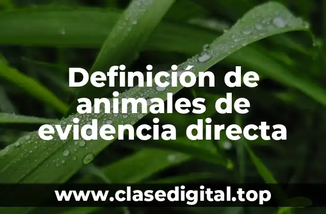 Ejemplos de animales de evidencia directa