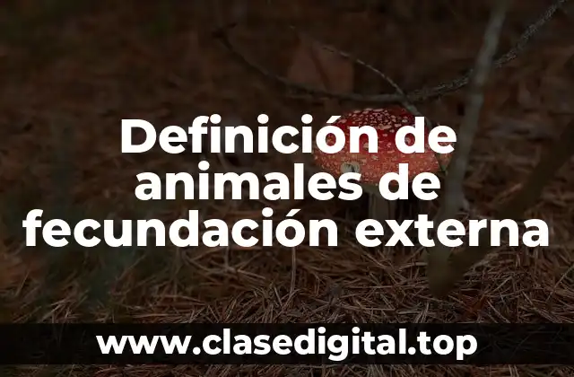 Definición de animales de fecundación externa