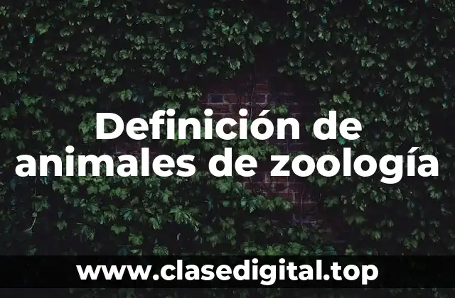 Definición de animales de zoología