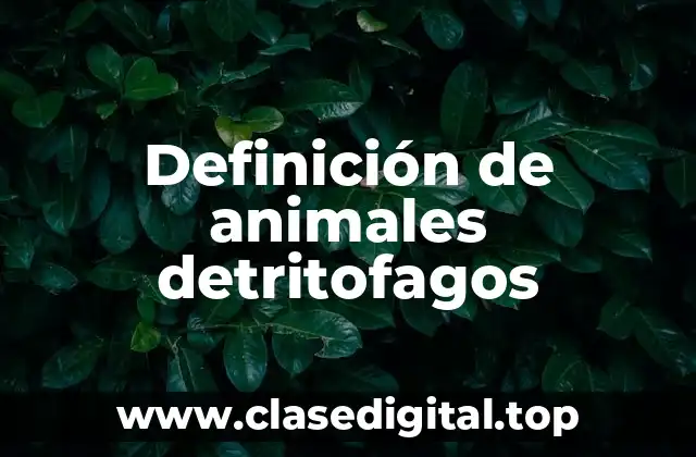 Definición de animales detritofagos