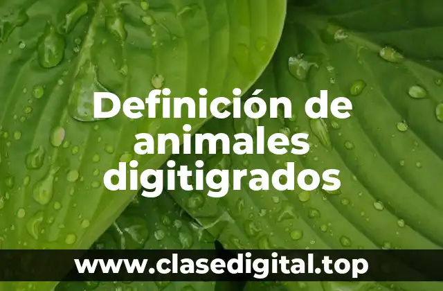 Definición de animales digitigrados