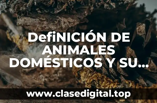 DefiNICIÓN DE ANIMALES DOMÉSTICOS Y SU CUIDADO