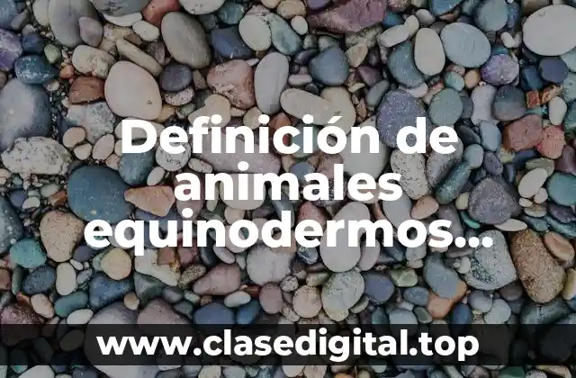 Definición de animales equinodermos invertebrados