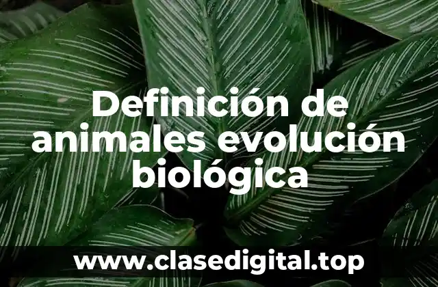 Definición de animales evolución biológica