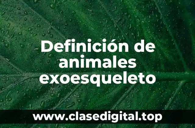 Definición de animales exoesqueleto