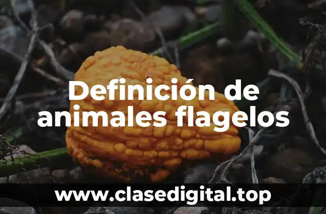Definición de animales flagelos
