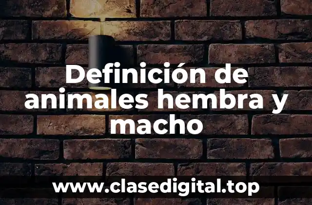 Definición de animales hembra y macho