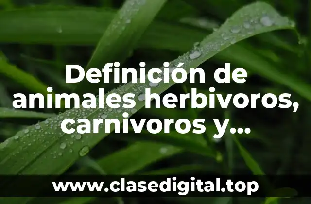Definición de animales herbivoros, carnivoros y omnivoros para colorear