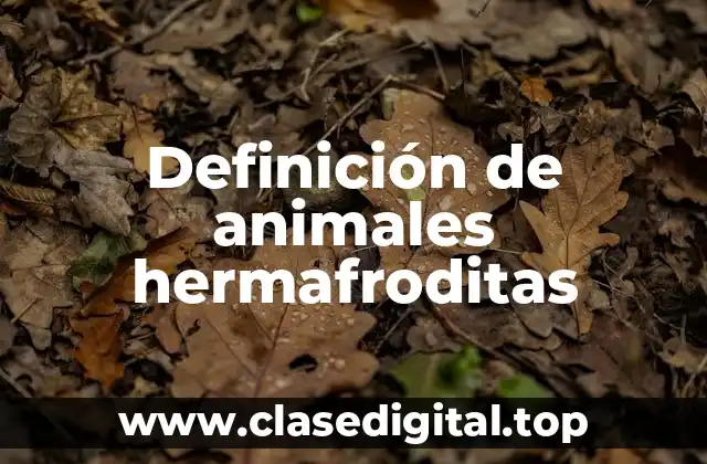 Definición de animales hermafroditas