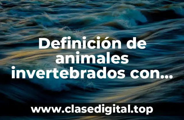 Definición de animales invertebrados con esqueleto interno