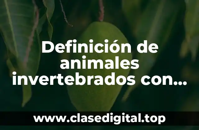 Definición de animales invertebrados con reproducción asexual