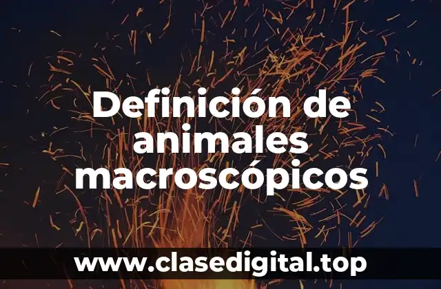Definición de animales macroscópicos