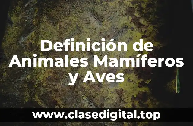 Definición de Animales Mamíferos y Aves