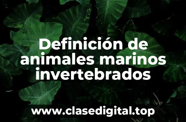 Definición de animales marinos invertebrados