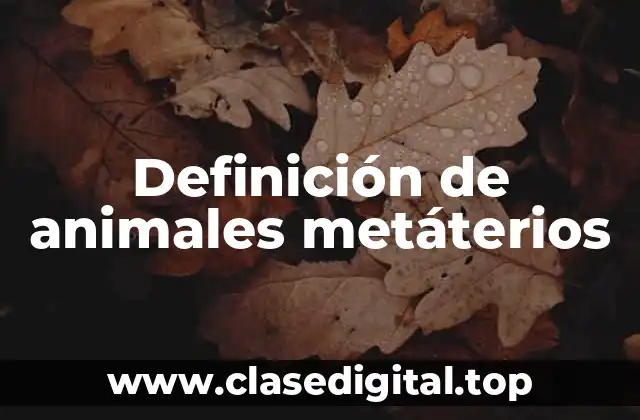 Definición de animales metáterios