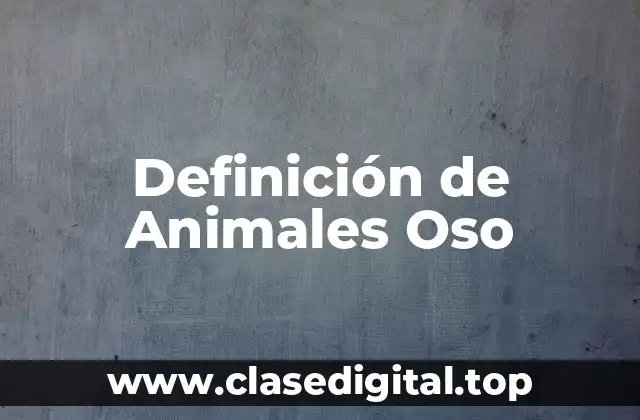 Definición de Animales Oso