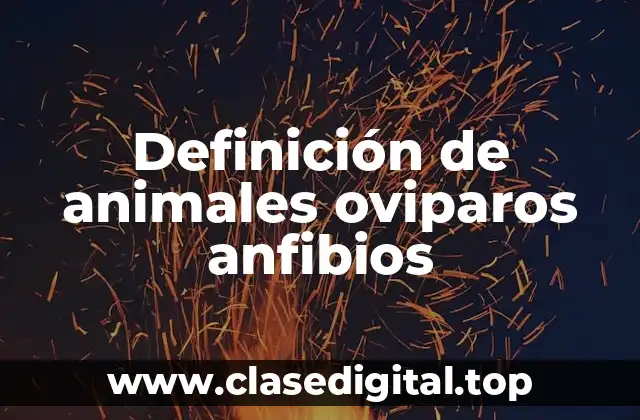 Definición de animales oviparos anfibios