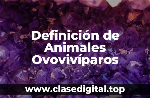 Definición de Animales Ovovivíparos