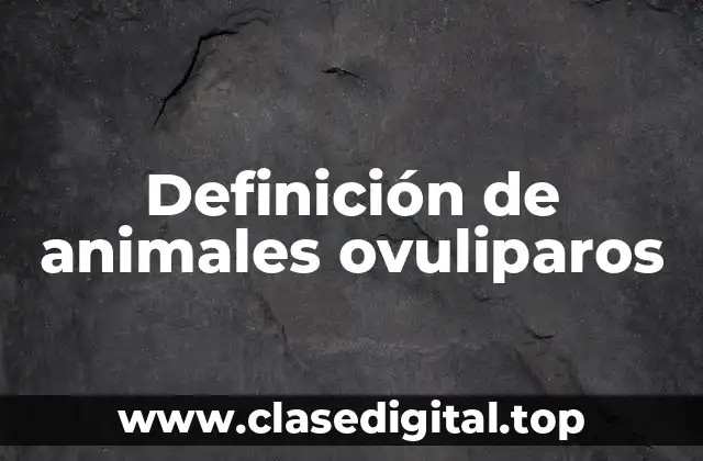 Definición de animales ovuliparos