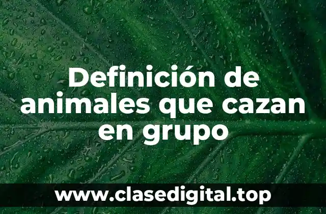 Definición de animales que cazan en grupo