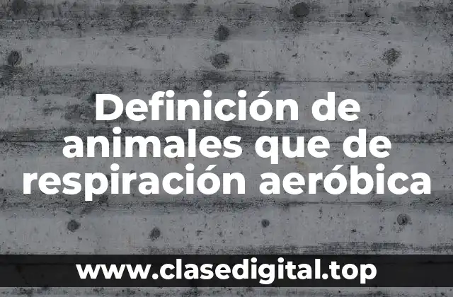 Definición de animales que de respiración aeróbica