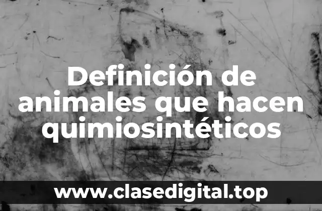 Definición de animales que hacen quimiosintéticos