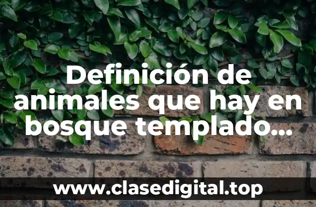 Definición de animales que hay en bosque templado para colorear