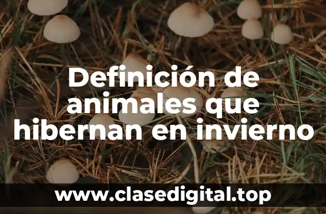 Definición de animales que hibernan en invierno
