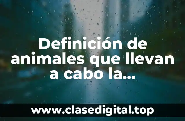 Definición de animales que llevan a cabo la reproducción sexual