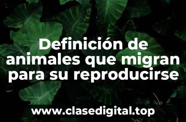 Definición de animales que migran para su reproducirse