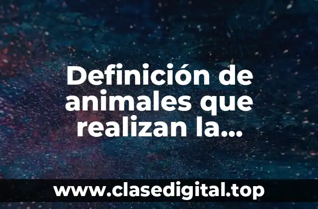 Definición de animales que realizan la respiración cutánea