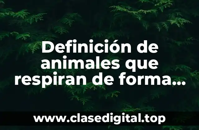 Definición de animales que respiran de forma cutanea