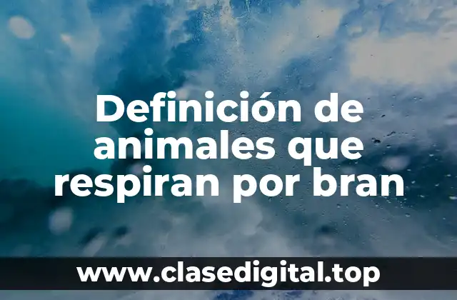 Definición de animales que respiran por bran