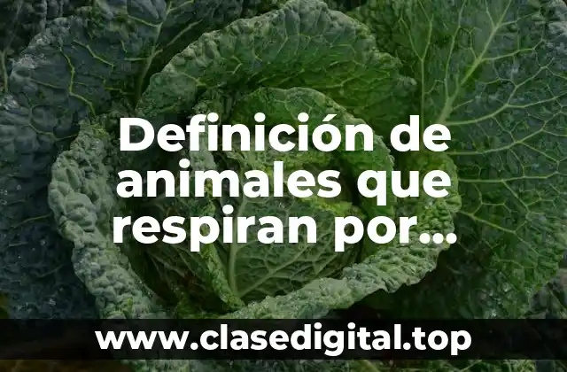 Ejemplos de animales que respiran por branquias