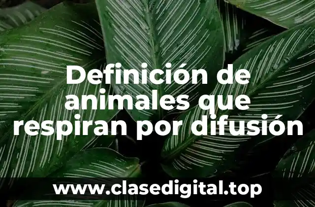 Ejemplos de animales que respiran por difusión