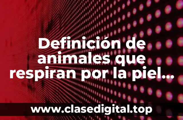 Definición de animales que respiran por la piel infantiles
