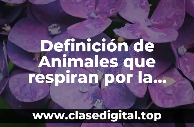 Ejemplos de animales que respiran por la traquea