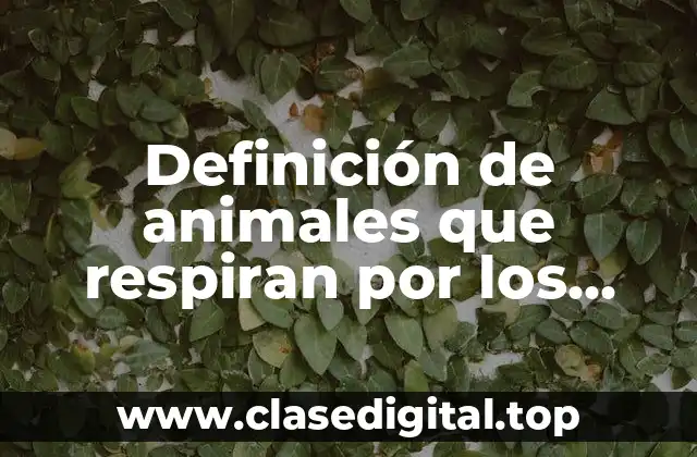 Definición de animales que respiran por los pulmones