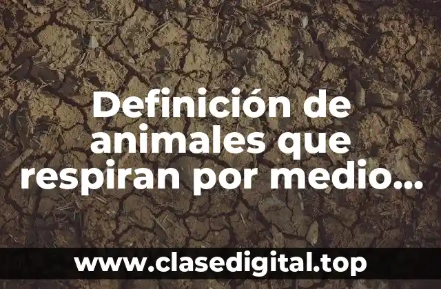 Definición de animales que respiran por medio de las branquias