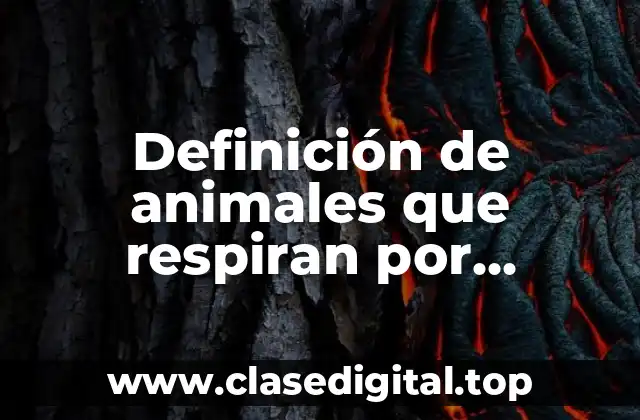 Ejemplos de animales que respiran por pulmones